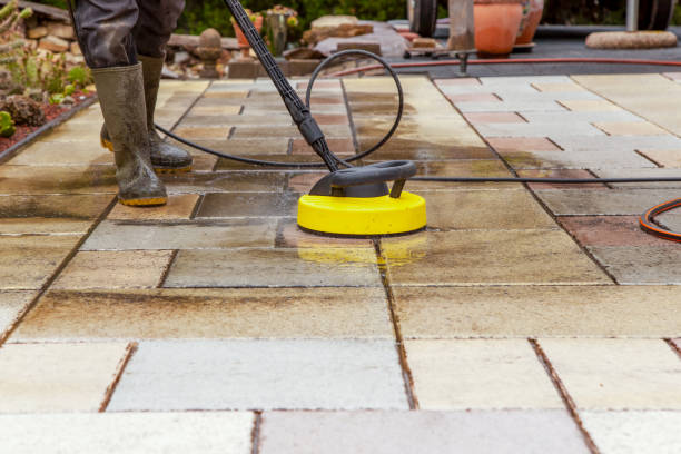 Best Warehouse Cleaning  in Elgin, IL