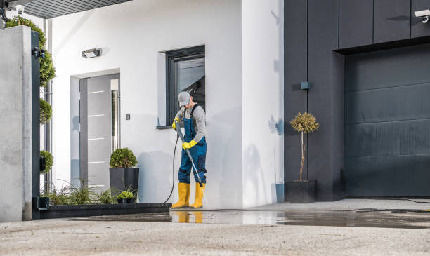 Best Solar Panel Cleaning  in Elgin, IL